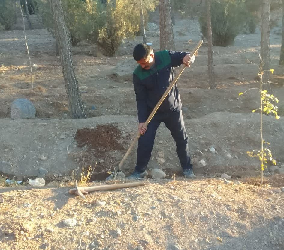 تداوم نهال کاری و احیای جنگل اروج با کاشت هزار اصله درخت